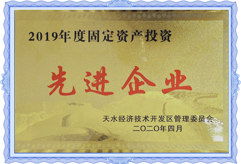 2019年固定資產(chǎn)投資先進企業(yè)